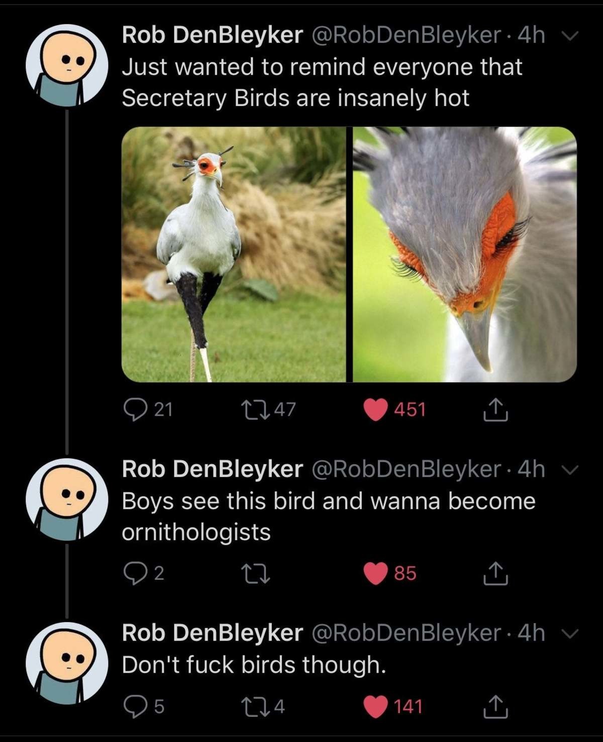 Secretary_bird.jpg