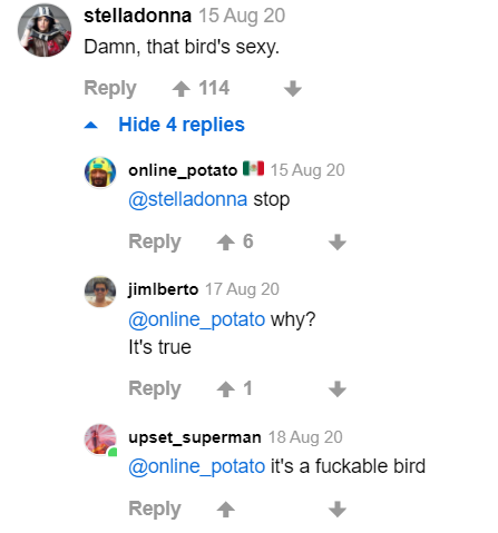 Sexy Bird.png