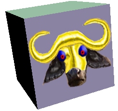 The New Buffalo Cube.jpg