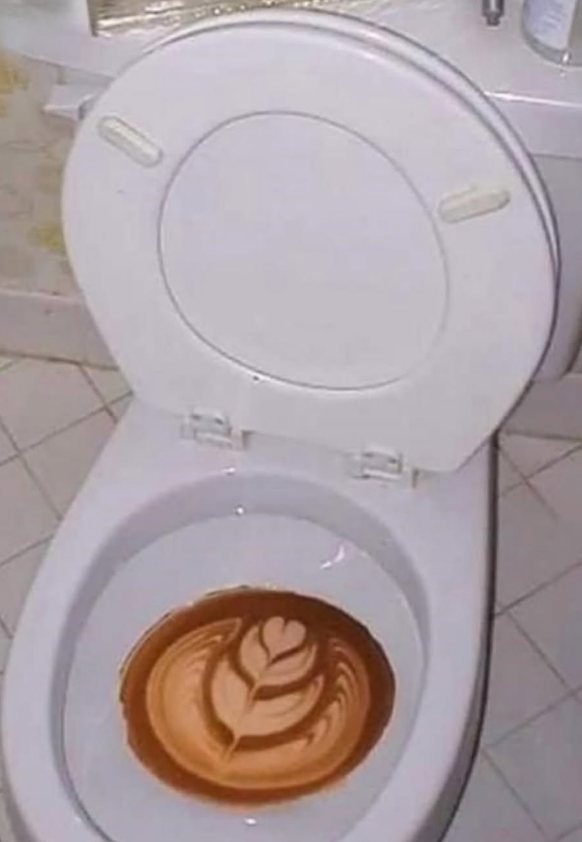 toilet.PNG