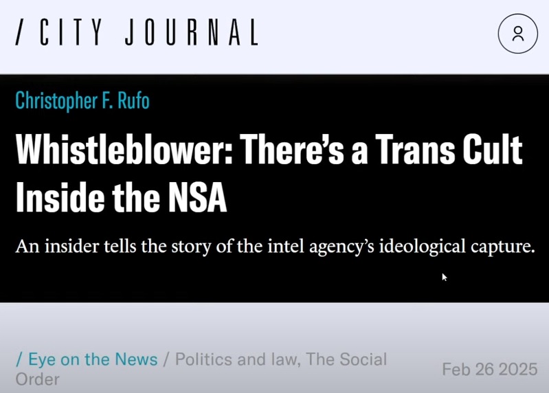 TransCultInsideTheNSA.jpg