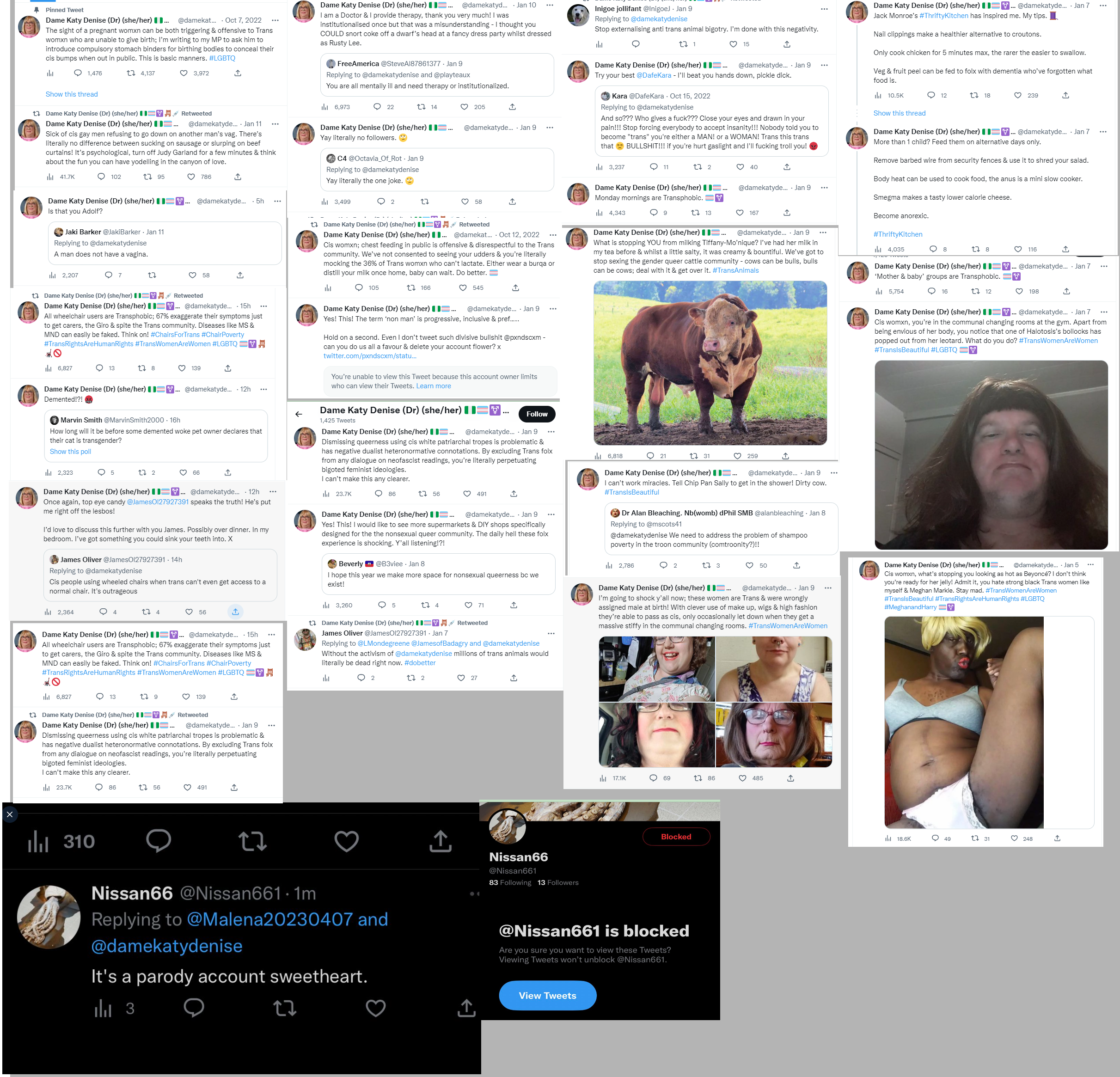 Tweet Collection.png