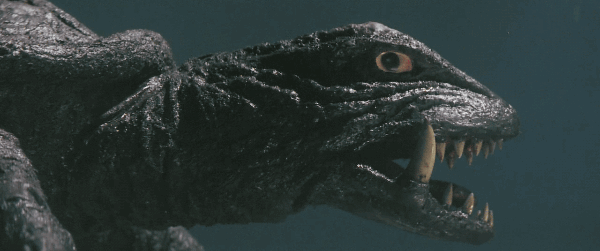 Vs Zigra.gif