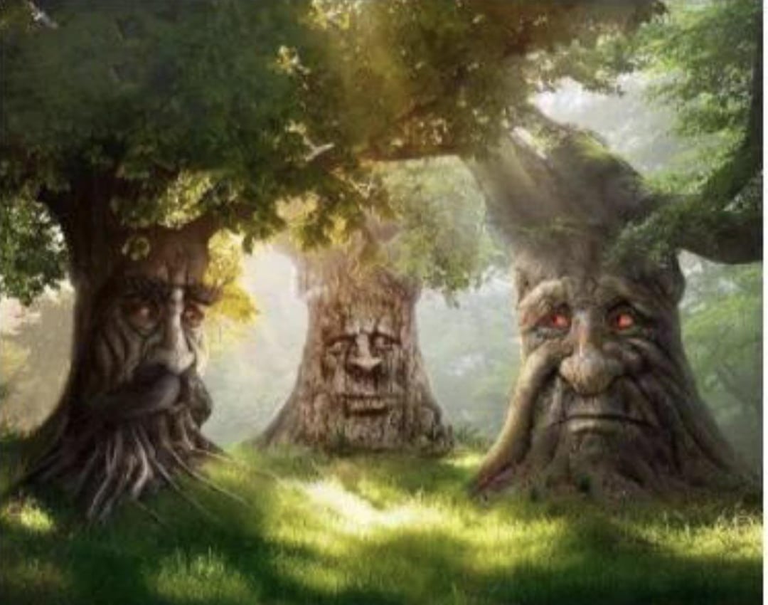 who-are-those-other-wise-mystical-trees-one-even-has-a-v0-cmd94bbck6t91.jpg