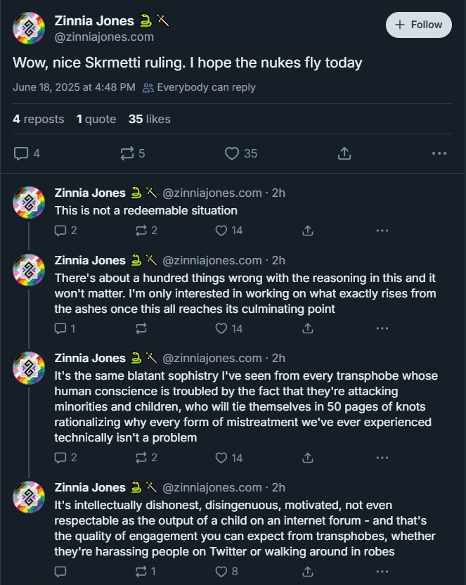 ZinniaJonesNiceSkrmettiRuling.jpg
