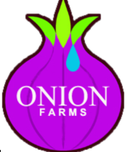 www.onionfarms.com