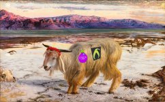 Ashley's scapegoat.jpg