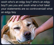 1758048415804.png