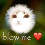 Blow me ❤️_🩹.jpg