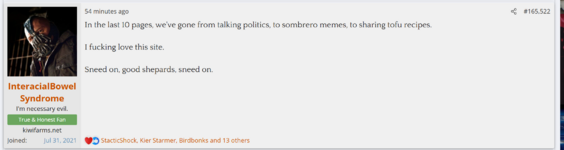 onionfarm 05.PNG