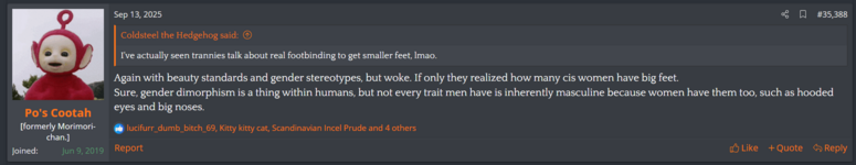 feet.png