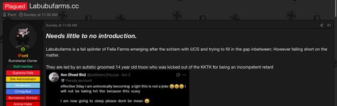 IMG_8358.jpeg