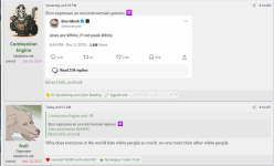 null 1.png null 1.png