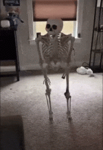 skeleton.gif