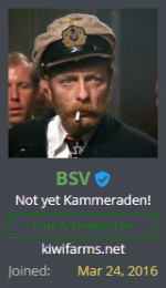 bsv.png