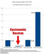 systemic racism.jpg