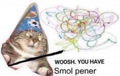 1614226145651.jpg