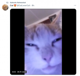 gool2.png