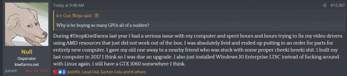 null and his computer troubles.png