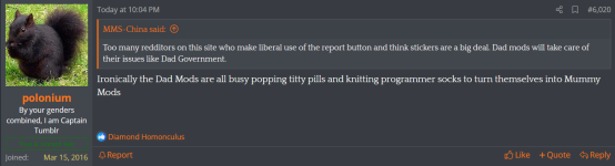 kiwi revolt 3.png