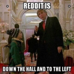 1707405336570.png
