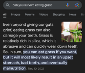 Screenshot_20240408-175304.png