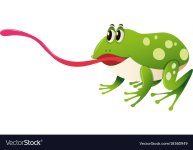 green-frog-with-long-tongue-vector-18360949.jpg