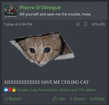 IMG_5844.jpeg