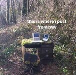 this-is-where-post-btw.jpeg