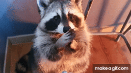 v9H6lr.gif