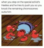 1740621358680.jpeg