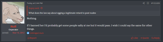 nulldsp14.png
