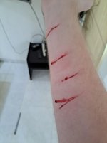 1000031162_by_betterskatez_djeussn-fullview.jpg