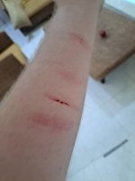 1000031163_by_betterskatez_djeustd-fullview.jpg
