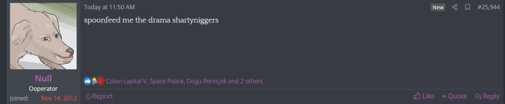 null 1.png