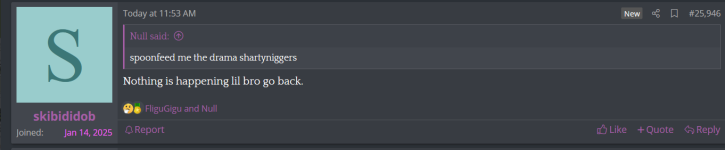 null 2.png