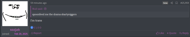 null 6.png
