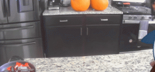 XtraNyaruPics (1).gif