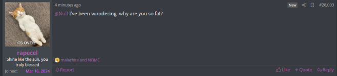 null 4.png
