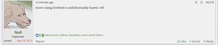 null 5.png