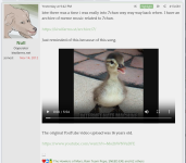 null7chan.png