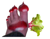 1000004170.png