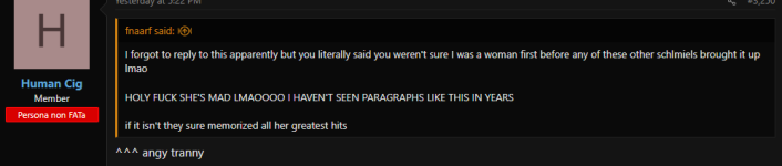 ash96f.png