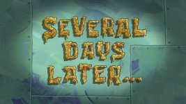 severaldays.jpg