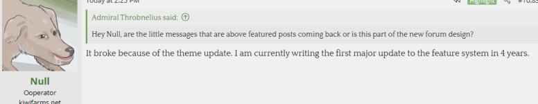 joshywritingcodelookout.png