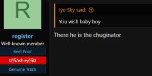 ashrace3.png