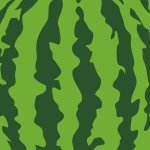 summer-juicy-green-pattern-watermelon-skin-striped-texture-water-melon-rind-watermelon-pattern...jpg