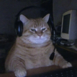 1748794583647.png