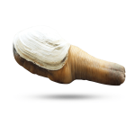 20240407_120216.png