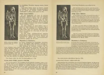 Freemasons, Agitators, Jews by Hans Tancred (1938) - Translated [09].webp
